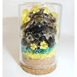 Carpenter Bee Wasp Nest & Flowers Oddity Jar curiosity dome insect taxidermy